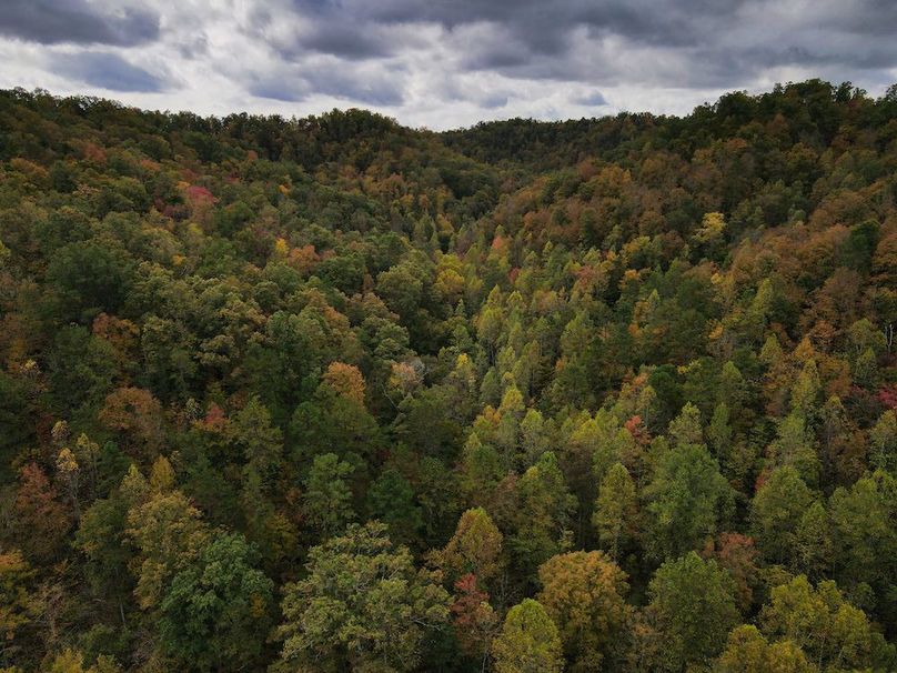 006 elevated view looking up the main valley 