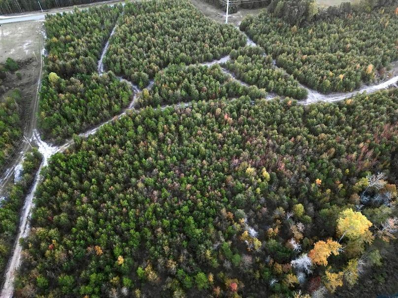 dji_fly_20251103_174046_425_1762260616751_photo