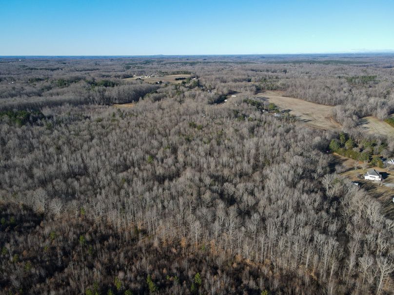 dji_fly_20240129_091908_761_1706538176692_photo