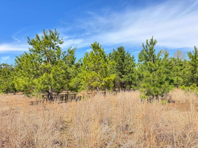 739EA4D2-407C-4477-806C-C5DDECCABFCF