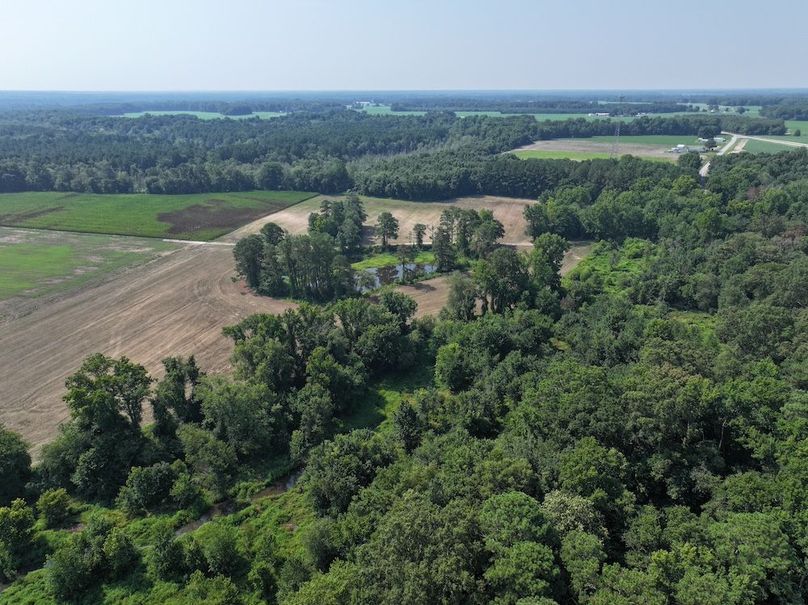 Copy of DJI_20240716105639_0034_D