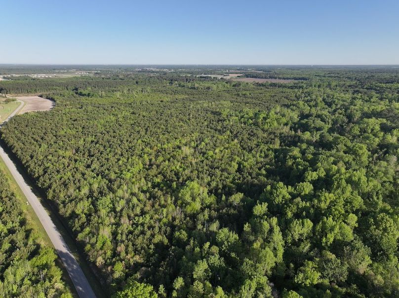 DJI_20250417073038_0009_D