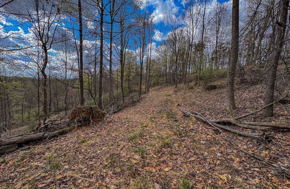 Wirt, WV 156.941 AC Full-04