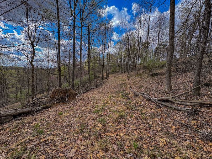 Wirt, WV 156.941 AC Full-04