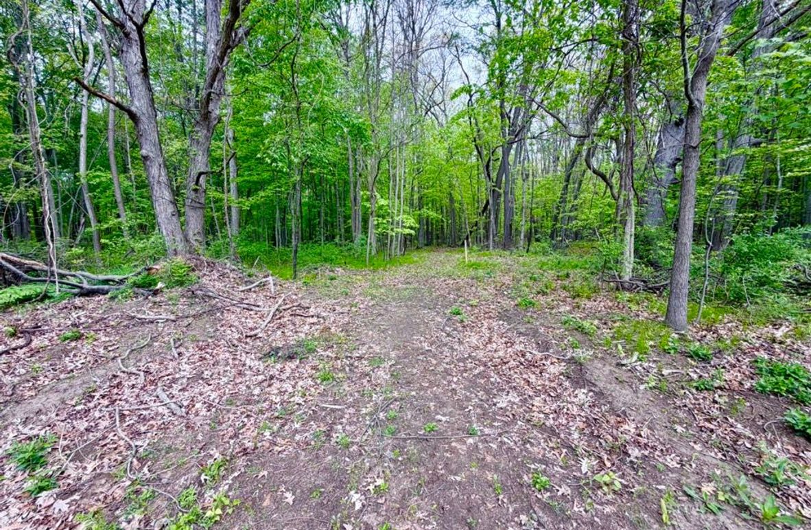 4 Trail into Large Timber parcel