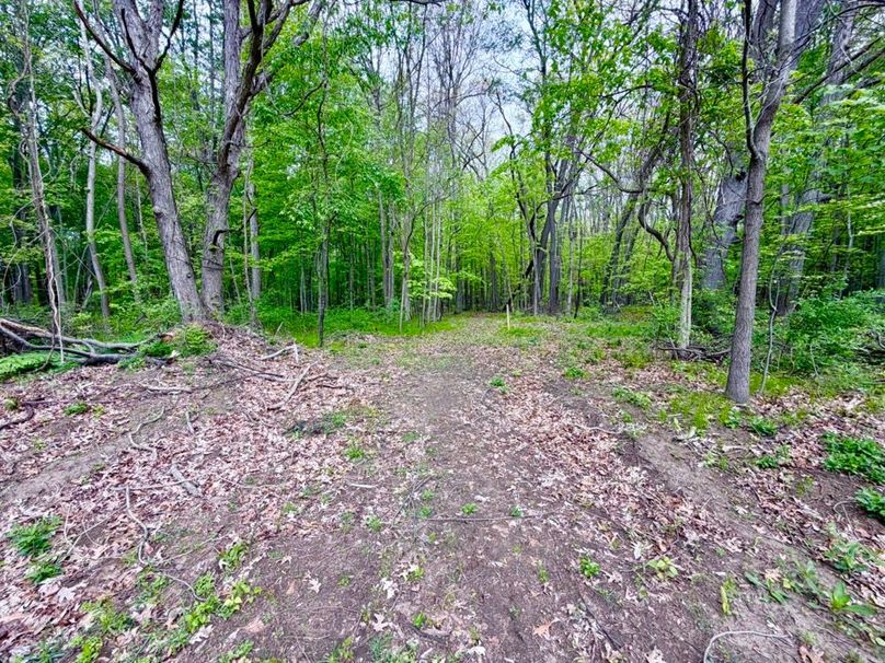 4 Trail into Large Timber parcel