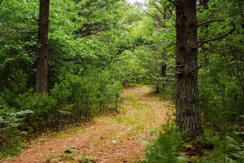 Ogemaw MI 475 Featured Pro Photo-742237