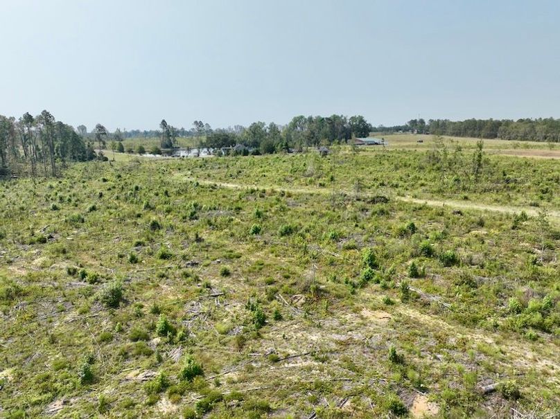 dji_fly_20250918_112634_199_1758209474470_photo