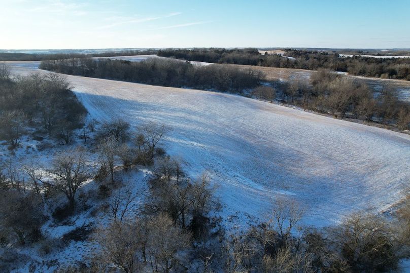 DJI_0460