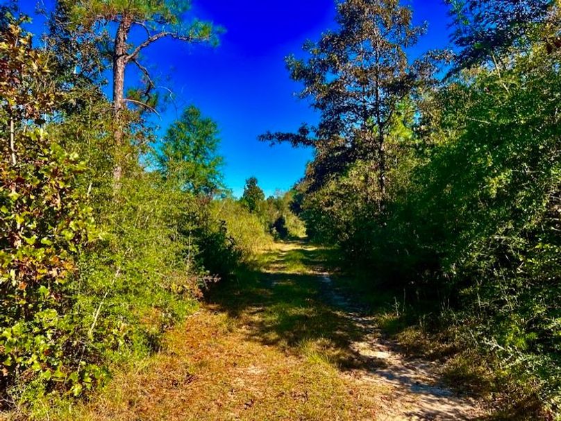 FAA1D3B4-F78B-4FCE-8211-D36106D185AA_1_105_c