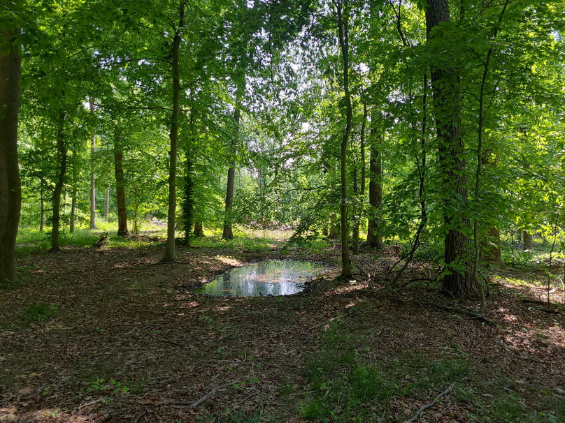 26.48ac_McKenneyLn_QAnnes_26