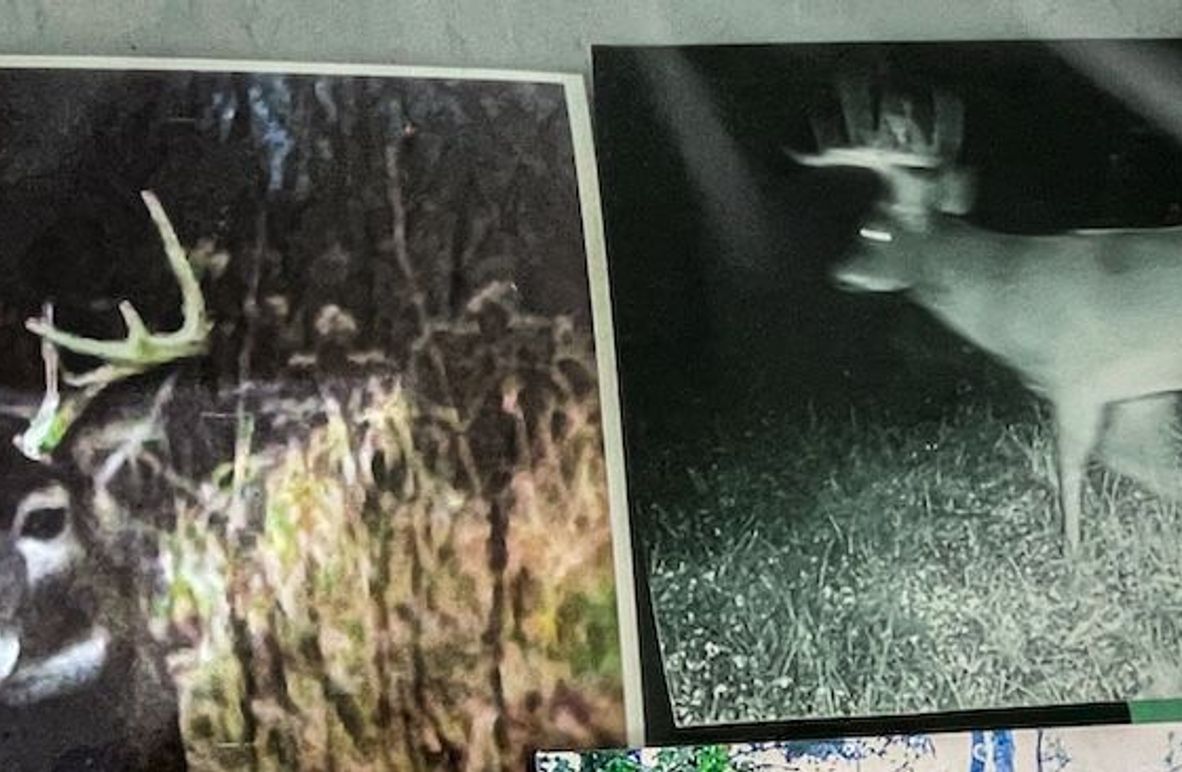 Clark 24.75 Winkel -04