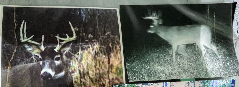 Clark 24.75 Winkel -04