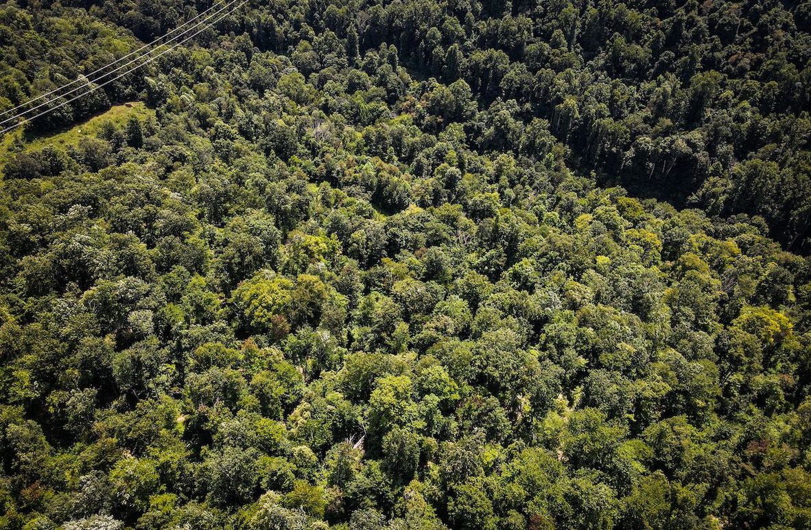 dji_fly_20230808_142018_955_1691518849799_photo