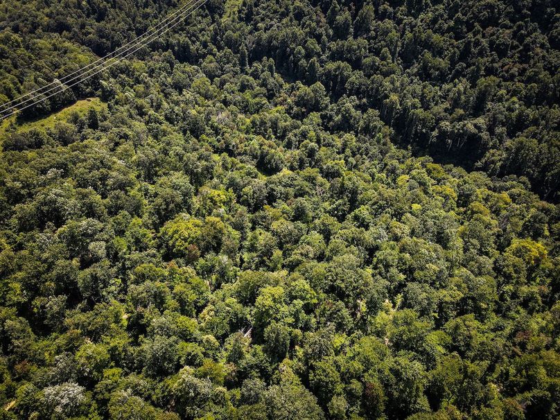 dji_fly_20230808_142018_955_1691518849799_photo