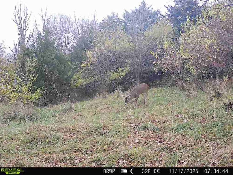 860322065924133-100-4-11172025073444-W1001059