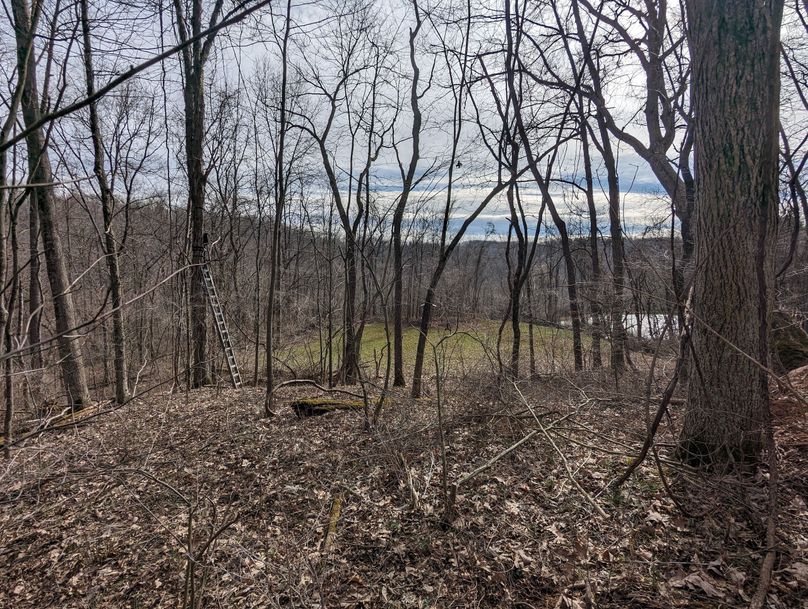 PXL_20230213_170435733