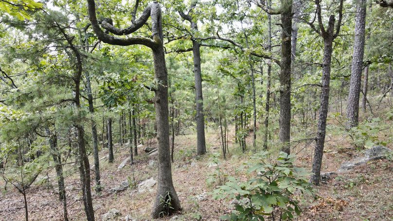 dji_fly_20230825_133246_68_1692988387739_photo