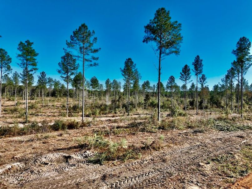 2736C47D-FB4E-49C1-B99F-FEF4EE843D84_1_201_a