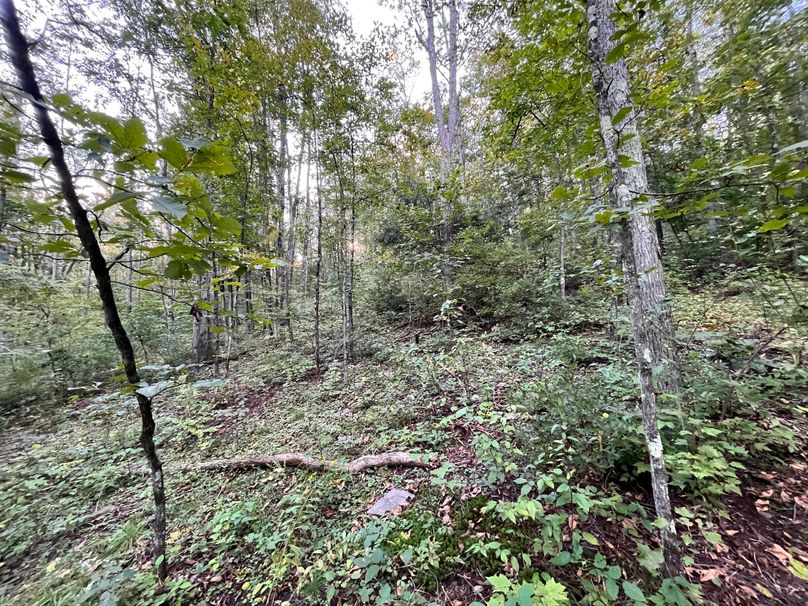 Tioga_20_Peters Photo 28