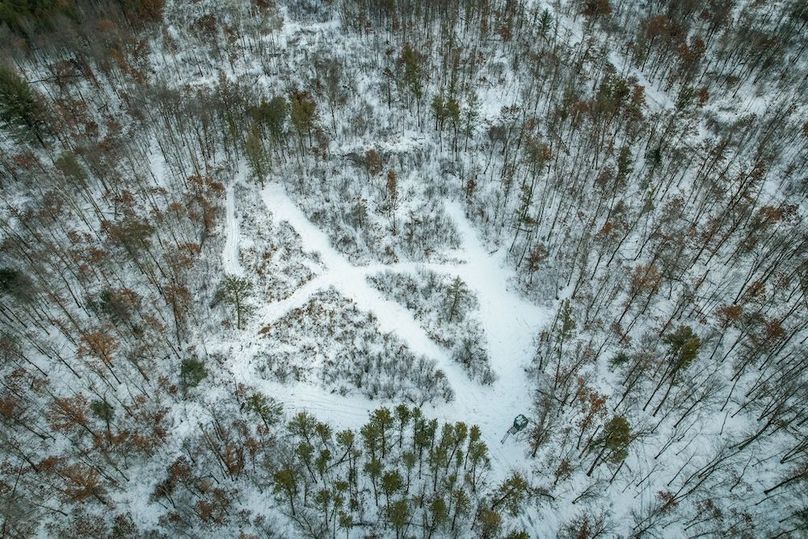 Adams 263.17, Hale -65