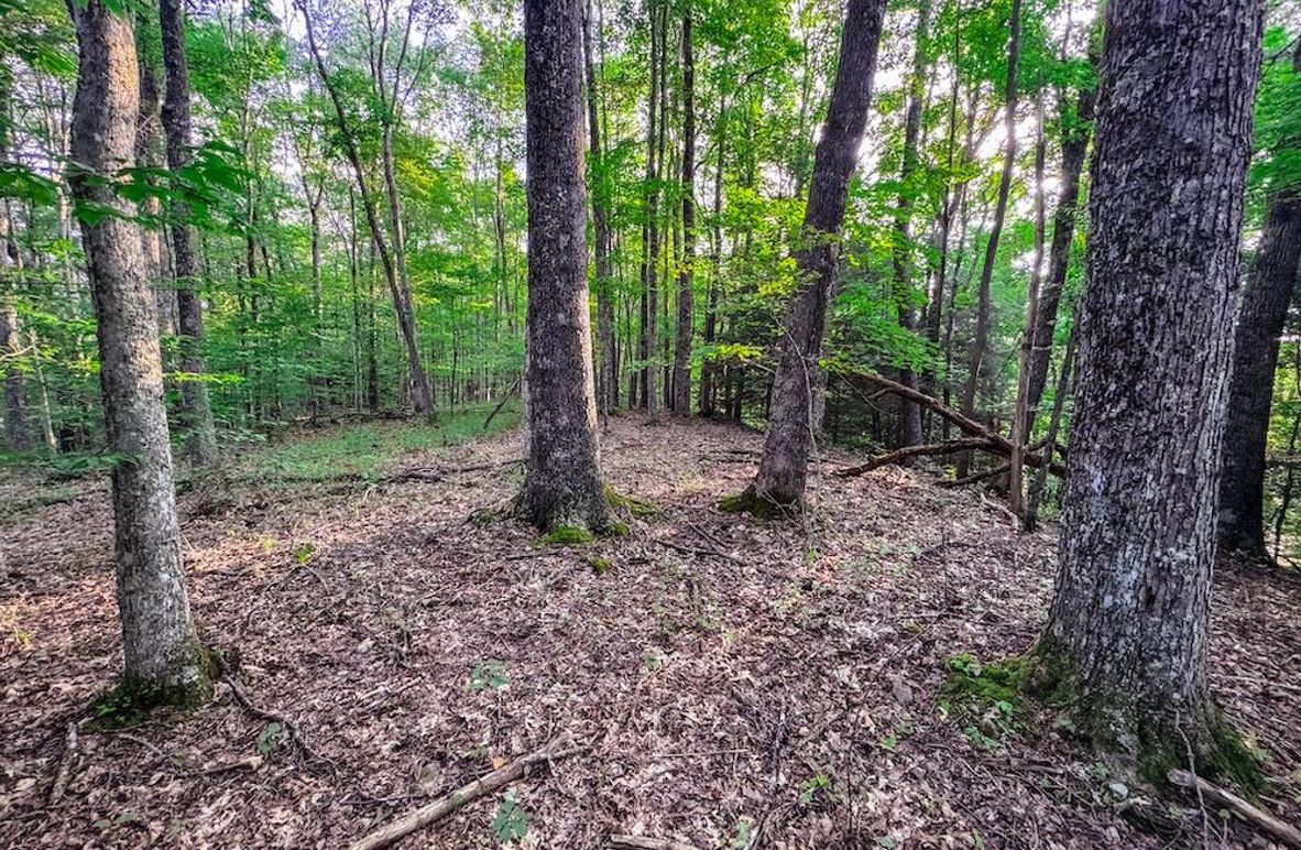 Webster, WV 42 AC Barger-01