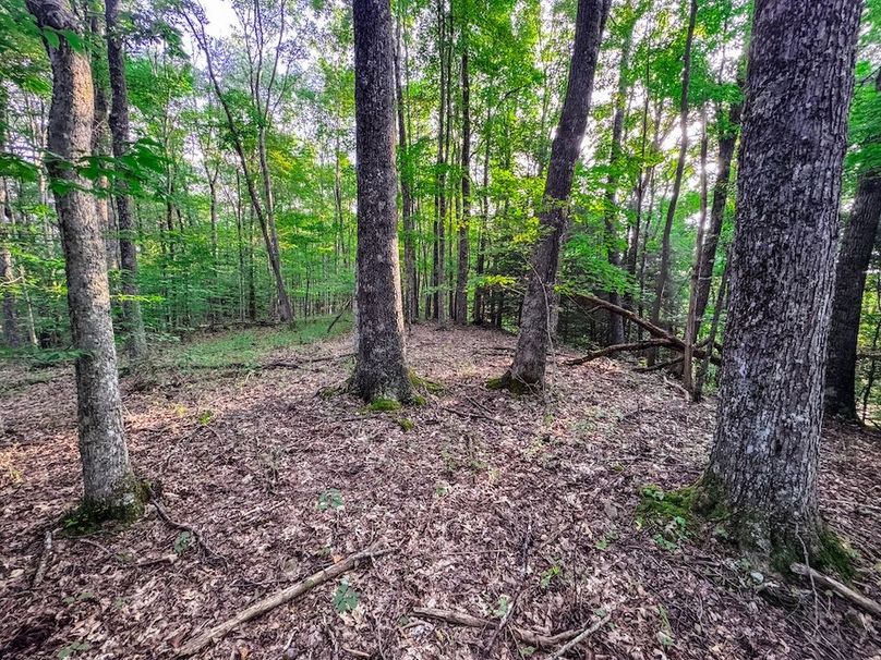 Webster, WV 42 AC Barger-01