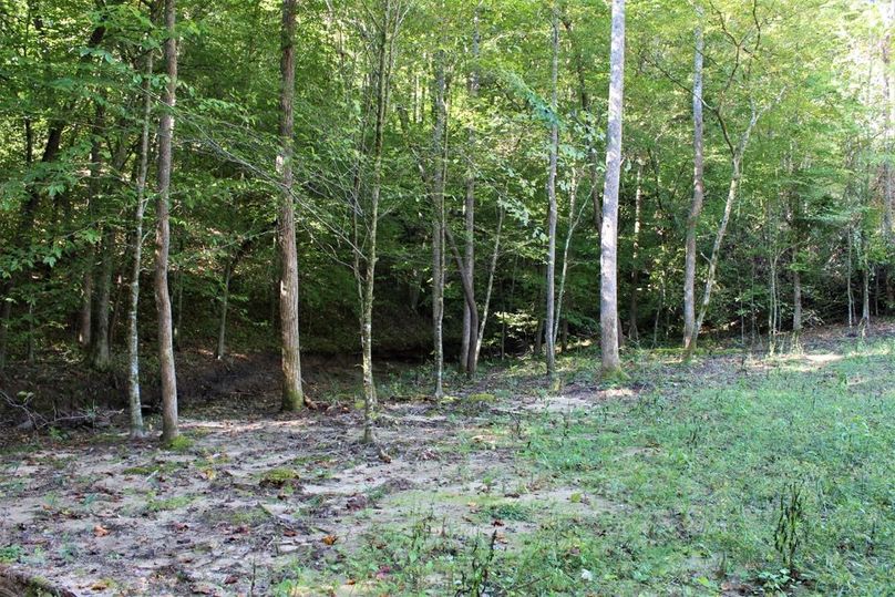 015 cleared out area along the creek and the open field area