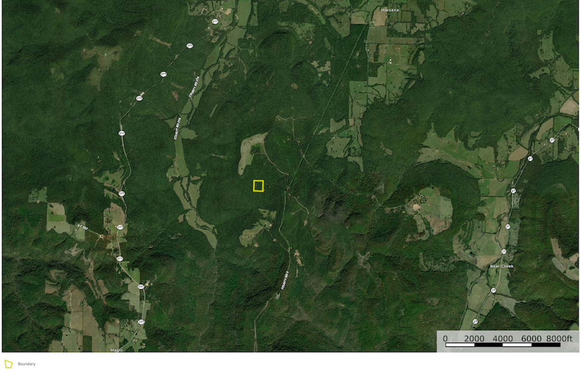 HarrisTyler East Google Far