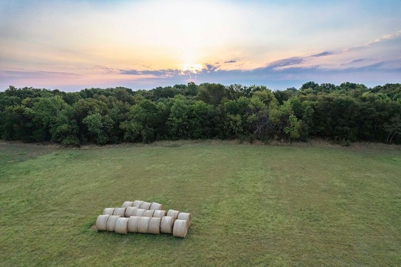 Lamar County TX 112-10