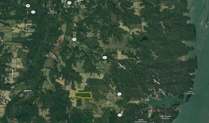 Screen Shot 2022-03-24 at 2.19.22 PM