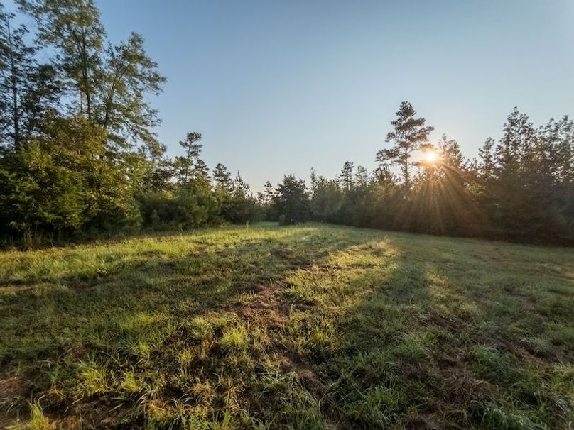 Madison Co - 40 - Clerk-08