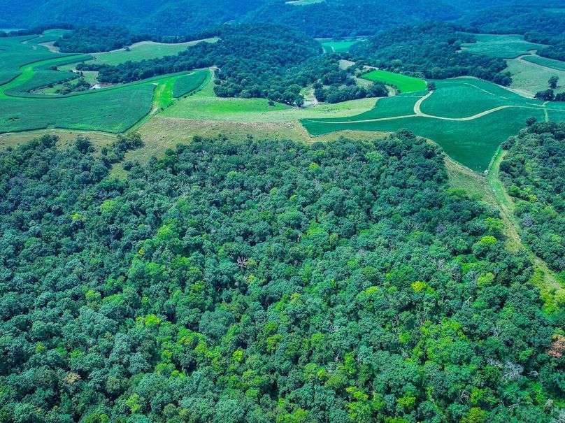 New Albin 8_8 edits-34