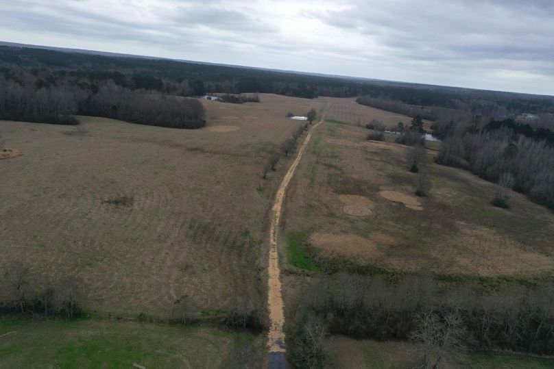 495DE7A7-BBC3-4E13-83D0-D567C9DE73DB_1_105_c