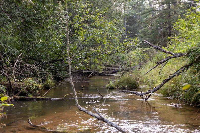 Mackinac 320 Copenhaver-64