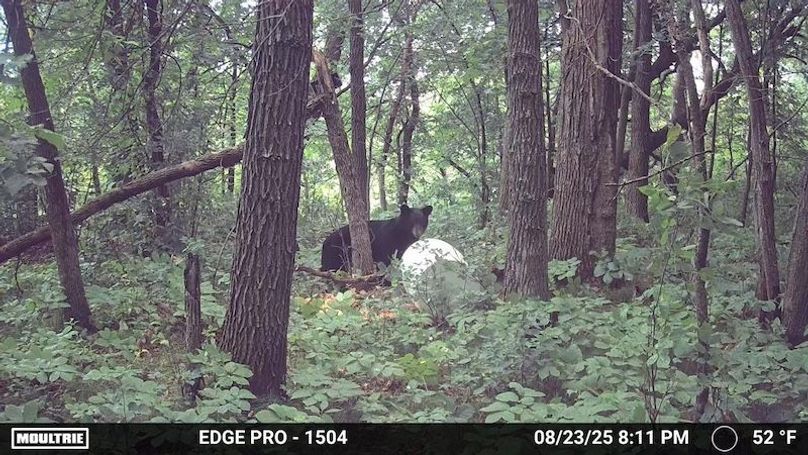 image639020101543869800