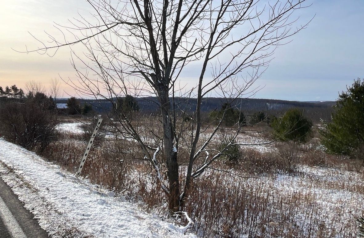 Chemung_29.78_LippincottPhoto 2