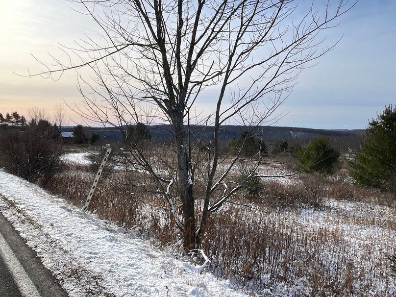 Chemung_29.78_LippincottPhoto 2