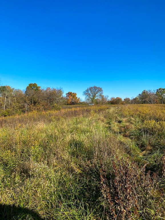 Lewis Johnson 78 012