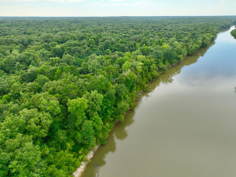 dji_fly_20230727_175630_426_1690507648540_photo 3