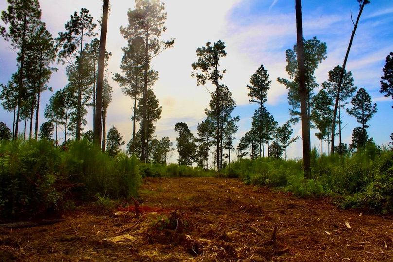 BCFA7BE6-7691-44FA-8712-297F2AE3BE19_1_105_c