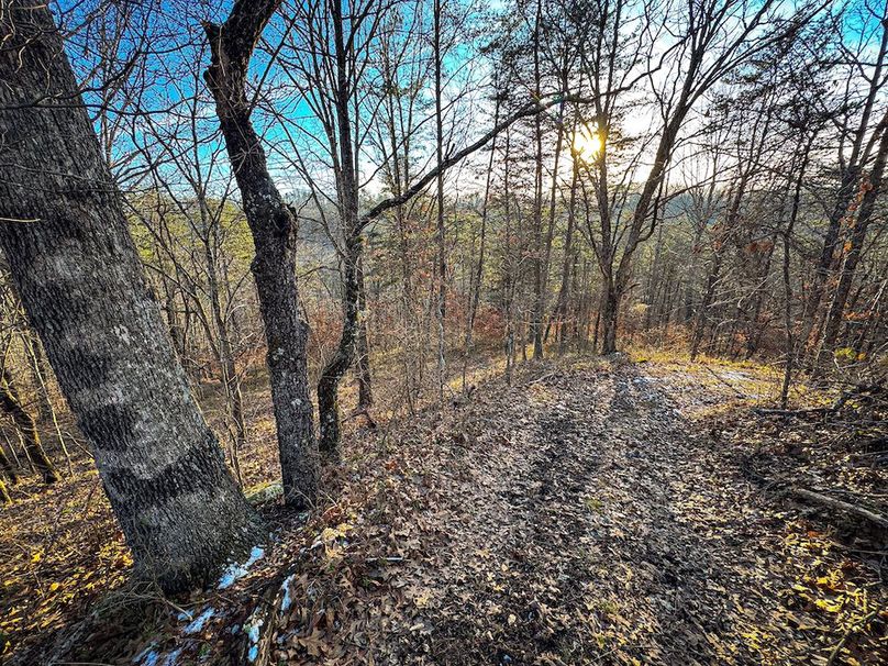 Jackson, WV 118.94 AC Shafer-077