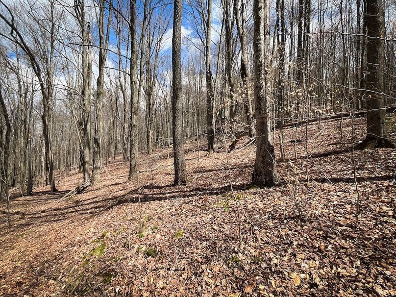 Tioga__NY_109.7_Burris_Photos_77