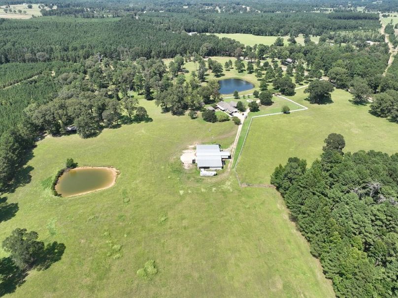 dji_fly_20250828_145100_131_1756499685577_photo