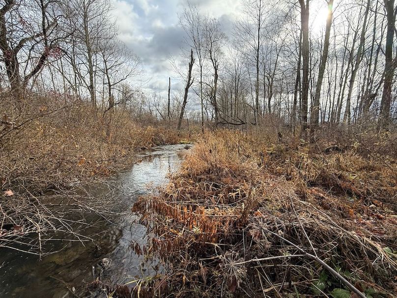 Tompkins_15.15_Galarza Photo 7