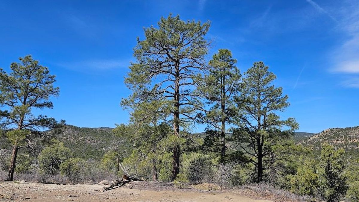 Fisher Peak Ranch Lot 12 | Whitetail Properties