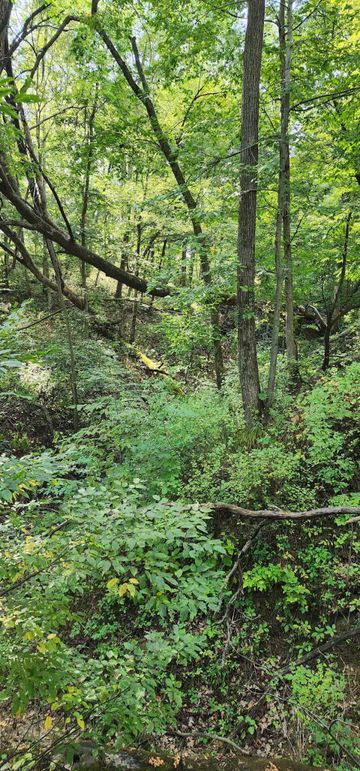 382336413_1253978821931419_3942840295283785362_n