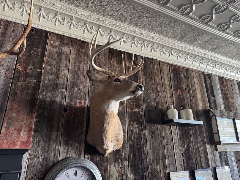 Copy of Trailcam4