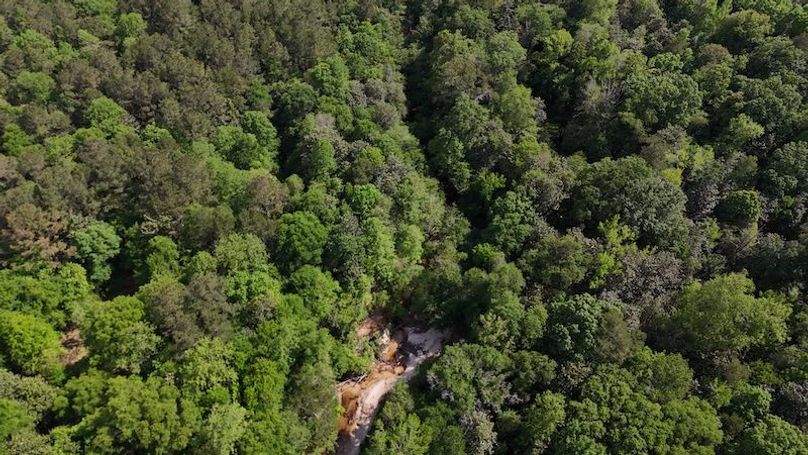 DJI_20260417163413_0005_D