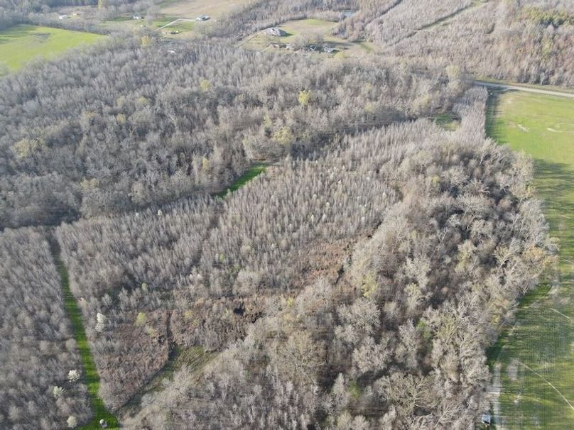 dji_fly_20240303_162430_108_1709504680151_photo copy